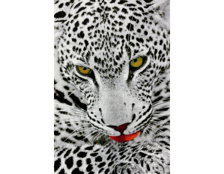 Covor Dreptunghiular - Kolibri Leopard - Culoare Gri - 11335/140